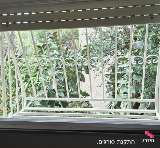 חלון עם סורגי מתכת ונוף עצים בחוץ